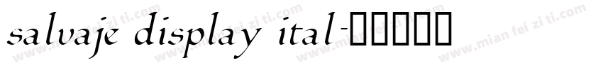 salvaje display ital字体转换